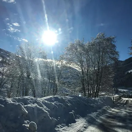 Moosanger *